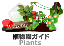 TOKYO���ł����@�A�����K�C�h