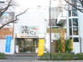 �V�R����ނ����쓒�炭