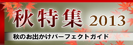 ����������̏�񎏃T�C�g�@�^�`�J���I�����C�� �H���W2007