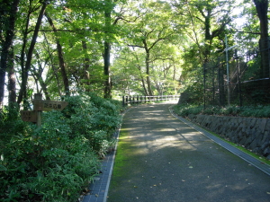 静かな丘を上る