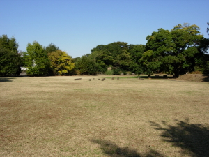 広大な野原の広場