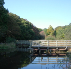 水生植物園と左手に広がる深大寺城跡の丘