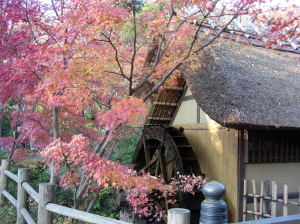 紅葉が美しい秋の水車館