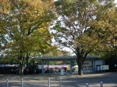 神代植物公園