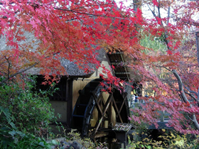深大寺水車小屋