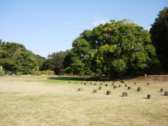 深大寺城跡の広場