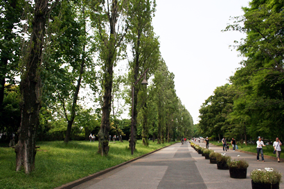 約200本の大木が続くポプラ並木の通りは散策が心地よい