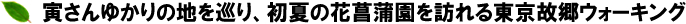 Ђ䂩̒nAẲԏҊK铌̋EH[LO