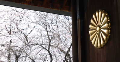 神門を通して見る桜は、フレームの中の絵画のよう