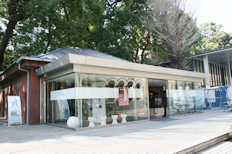 コミュニケーションセンター。東大の研究活動