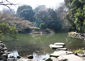 三四郎池。正式には旧加賀藩屋敷の育徳園心字池。夏目漱石の『三四郎』の舞台になって以来親しまれている
