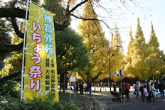 神宮外苑いちょう祭りは11月中旬から