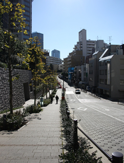青山通りから薬研坂へ