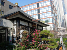 さくら坂の妙経寺