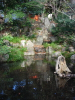 湧水の池