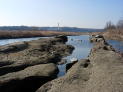 多摩川の川辺