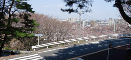 桜公園からの景色