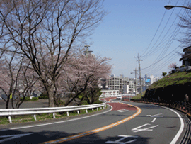 ͍͋}J[u