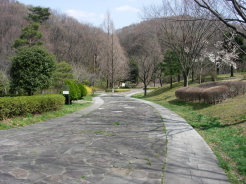 su