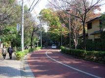 [厛ʂ