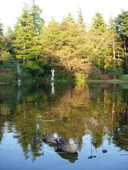 彫刻のある池