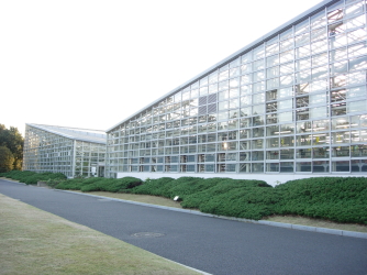 KX̑剷