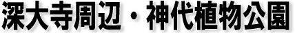 [厛ӁE_A