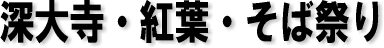 [厛EgtE΍Ղ