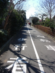 左が歩行者用、右が自転車用通路