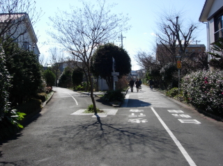東京競馬場支線跡(左)との分岐点