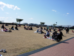 内馬場の芝生観覧席