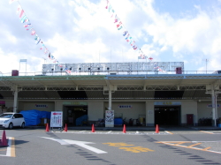哌Z^[