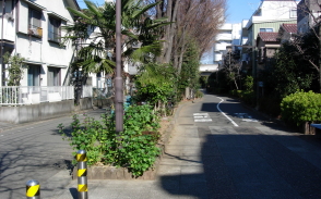 右が鉄道跡(緑道)、左がかつての側道