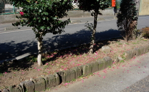 植え込みや花壇には枕木を再利用