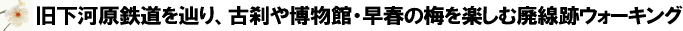 ͌SHAÙ┎فEt̔~yޔpՃEH[LO