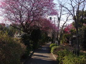 郷土の森博物館