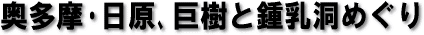 EAƏߓ߂