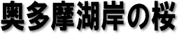 ΂̍
