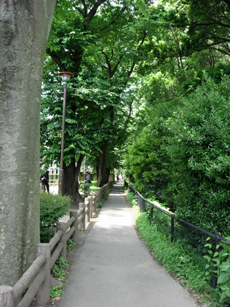 散策道は細道となる