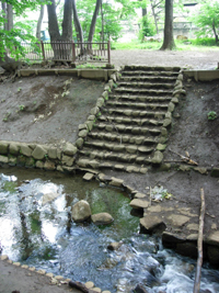雑木林の水辺の遊び場