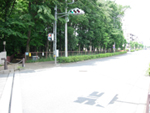 こぶし通り