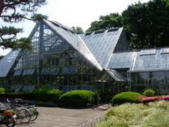 東京都薬用植物園