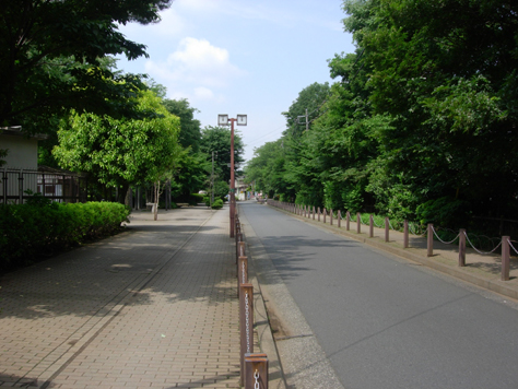 野火止用水の散策道