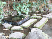 お茶の水