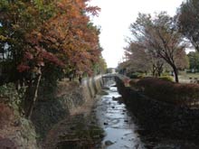 川辺