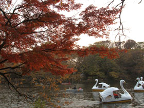 井の頭恩賜公園