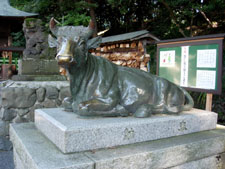 拝殿前の座牛