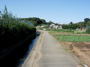 畑の脇を通る水路の道