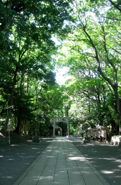 下り坂の表参道