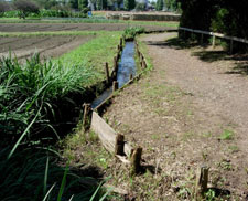 水路をはさんで左が畑、右が城山公園